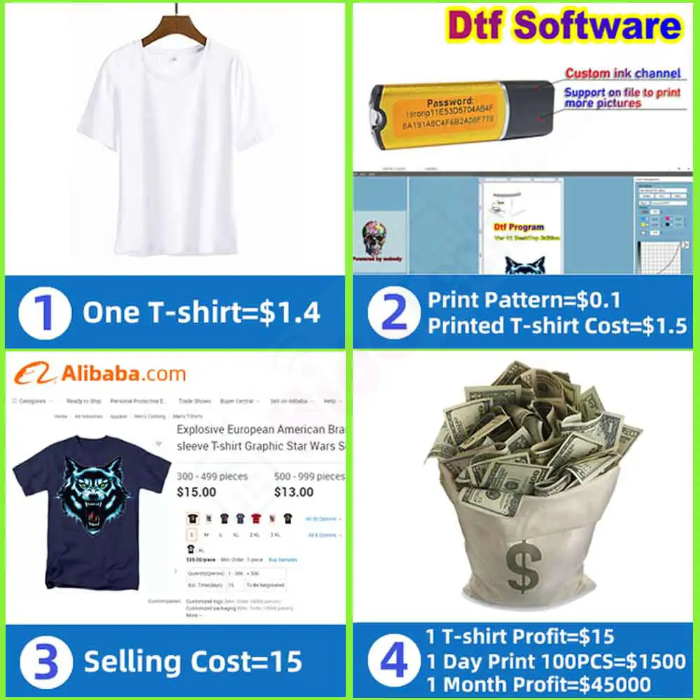 P600 DTF Continuous Ink Supply - Color Rip Software Dongle reseña y precio